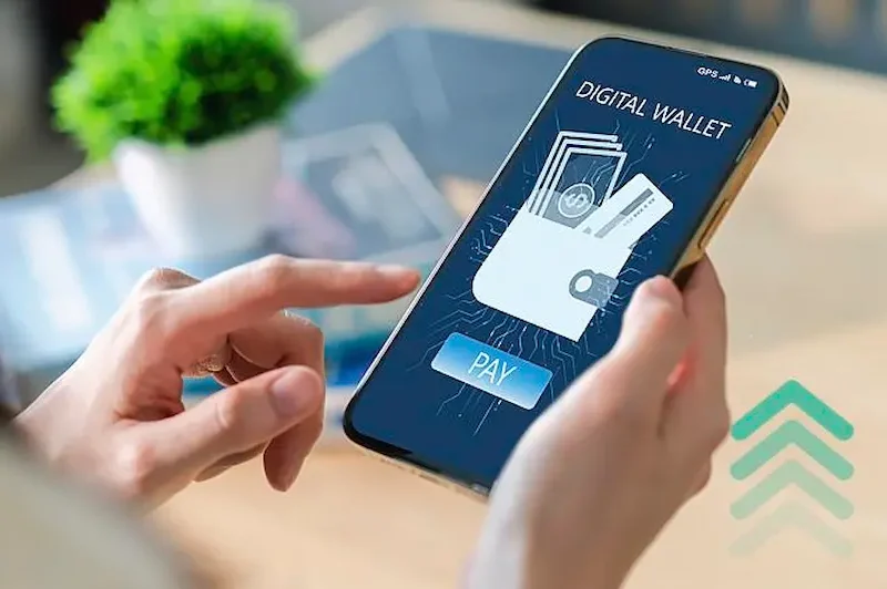 Challenges in the Digital Wallet Ecosystem